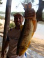 /album/pescaria-bataguassu-ms-13-09-a-17-09-2012/dsc05044-800x600-jpg/